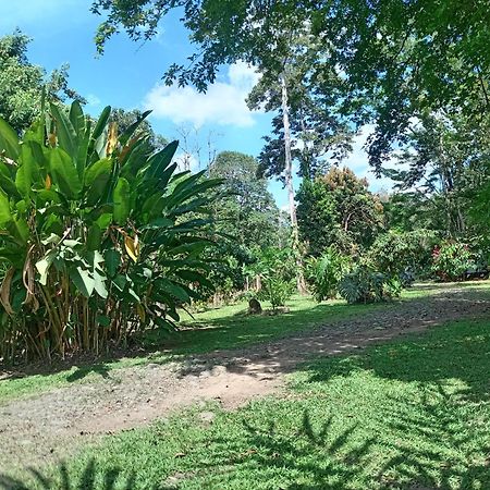 Apartamento Glamping Naioth Guápiles Exterior foto