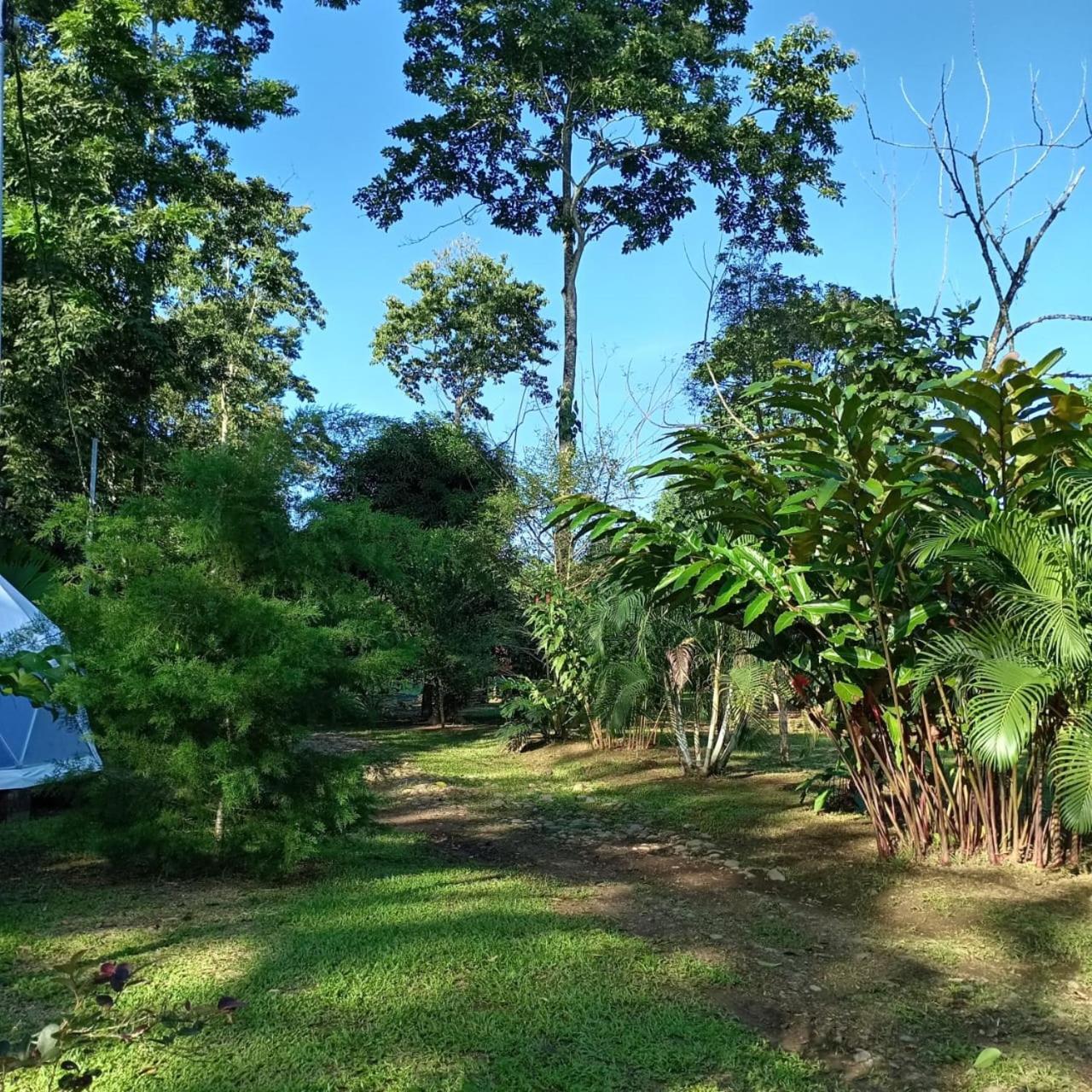 Apartamento Glamping Naioth Guápiles Exterior foto