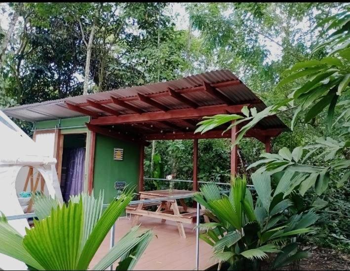 Apartamento Glamping Naioth Guápiles Exterior foto