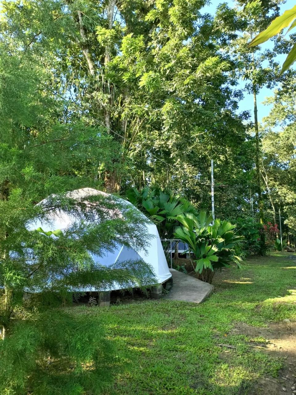 Apartamento Glamping Naioth Guápiles Exterior foto