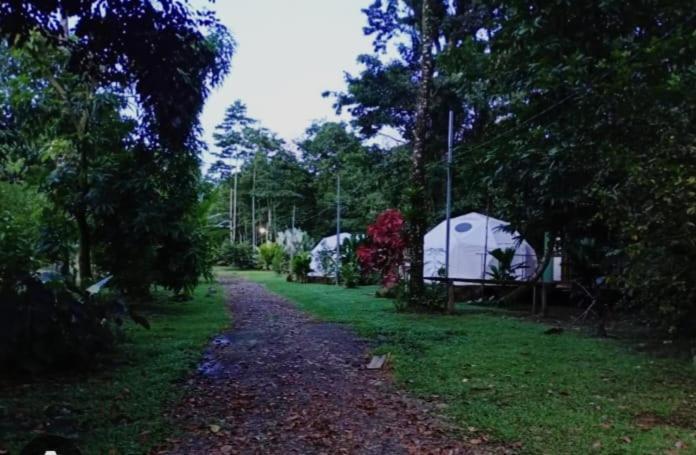 Apartamento Glamping Naioth Guápiles Exterior foto