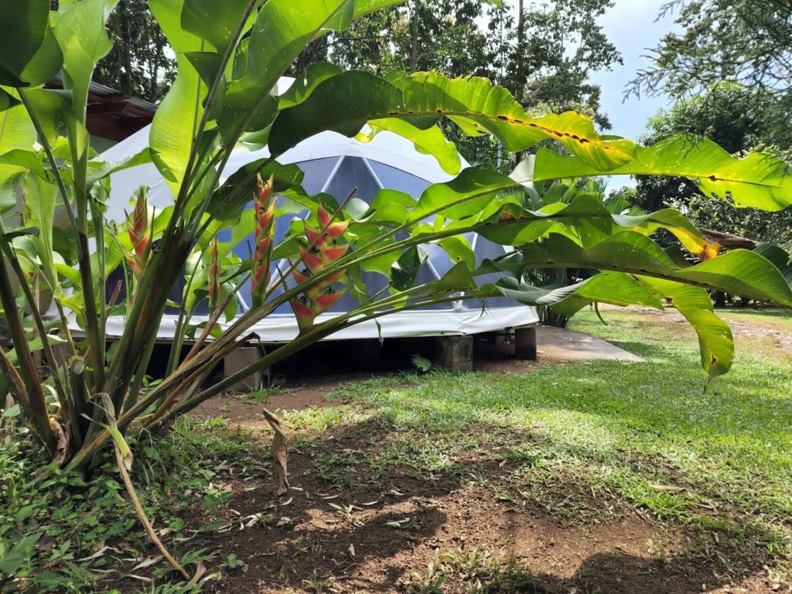 Apartamento Glamping Naioth Guápiles Exterior foto