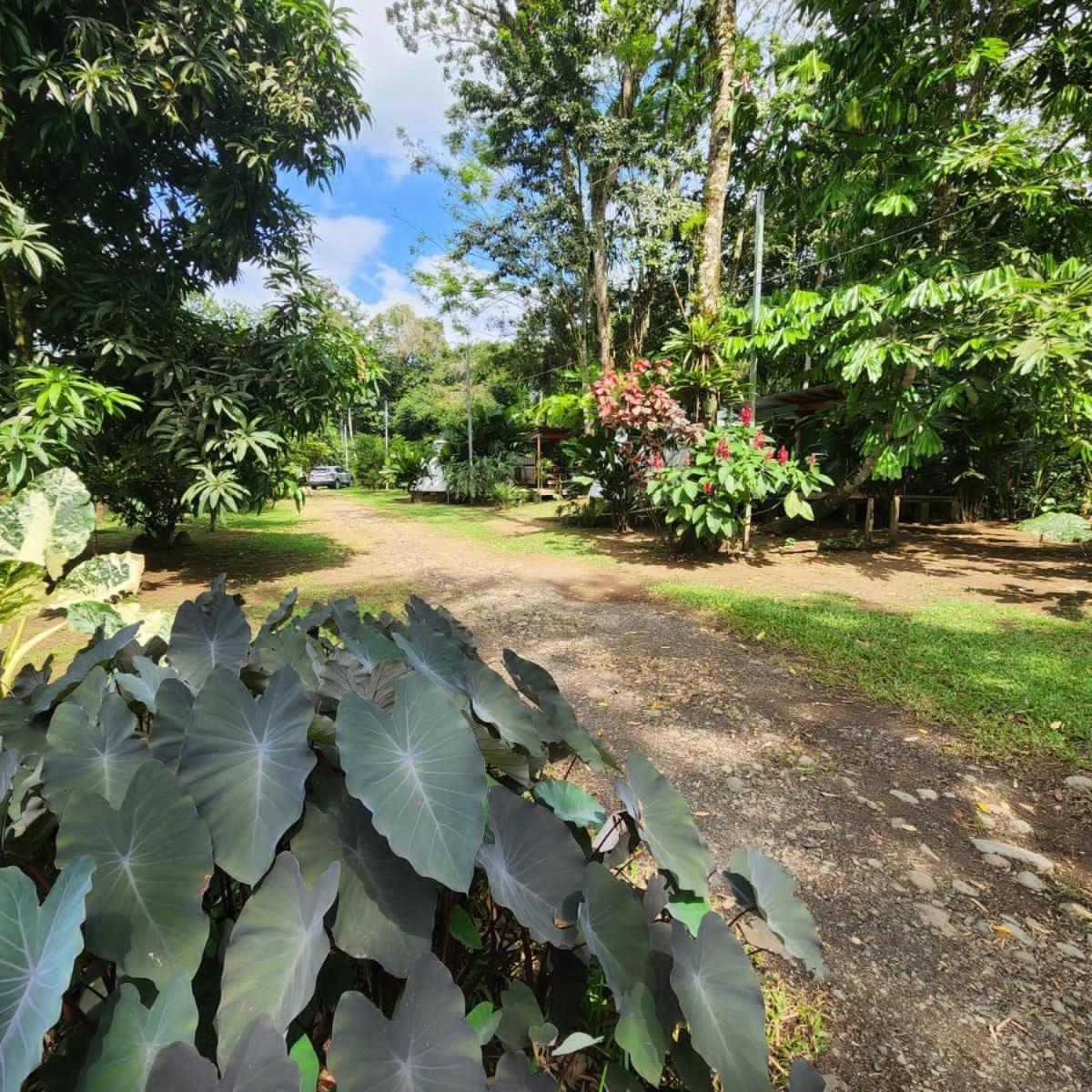 Apartamento Glamping Naioth Guápiles Exterior foto
