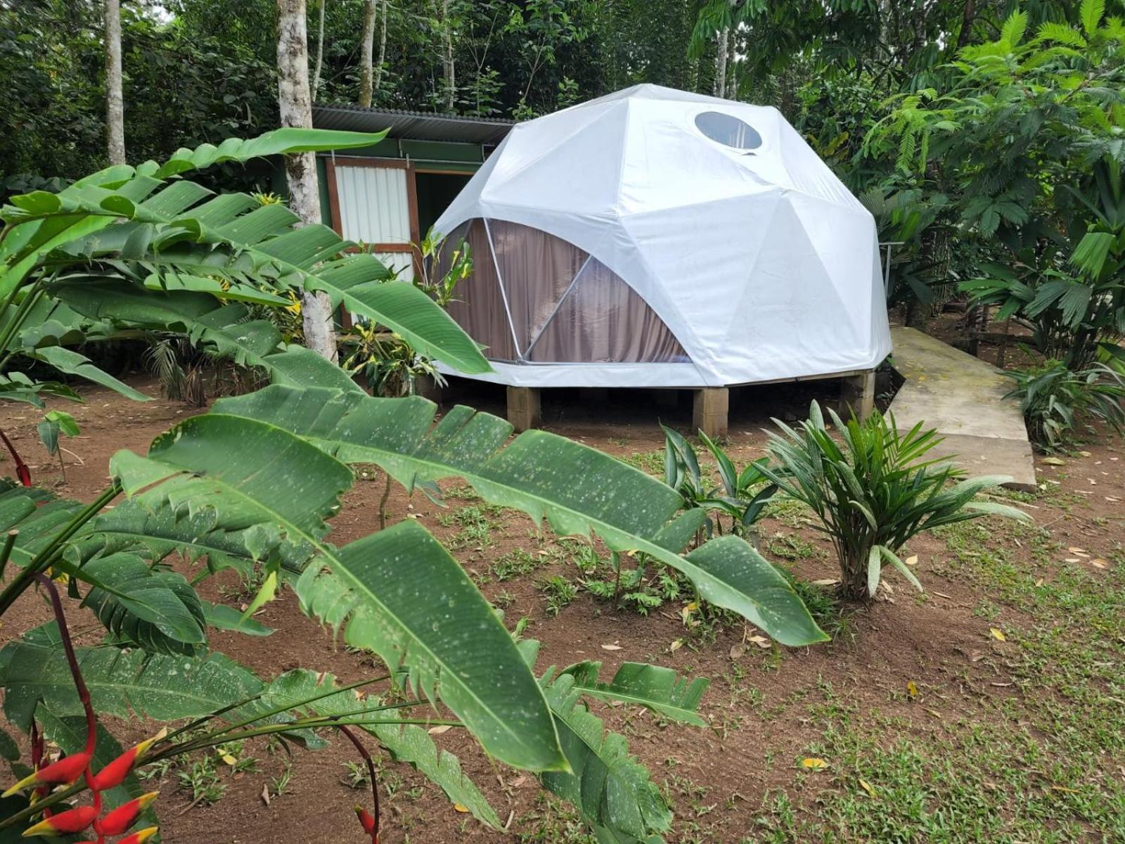 Apartamento Glamping Naioth Guápiles Exterior foto