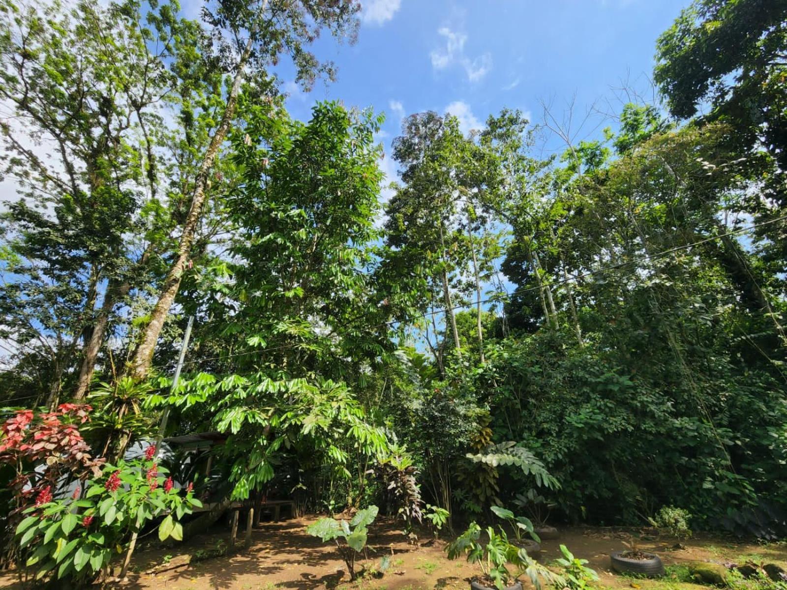 Apartamento Glamping Naioth Guápiles Exterior foto
