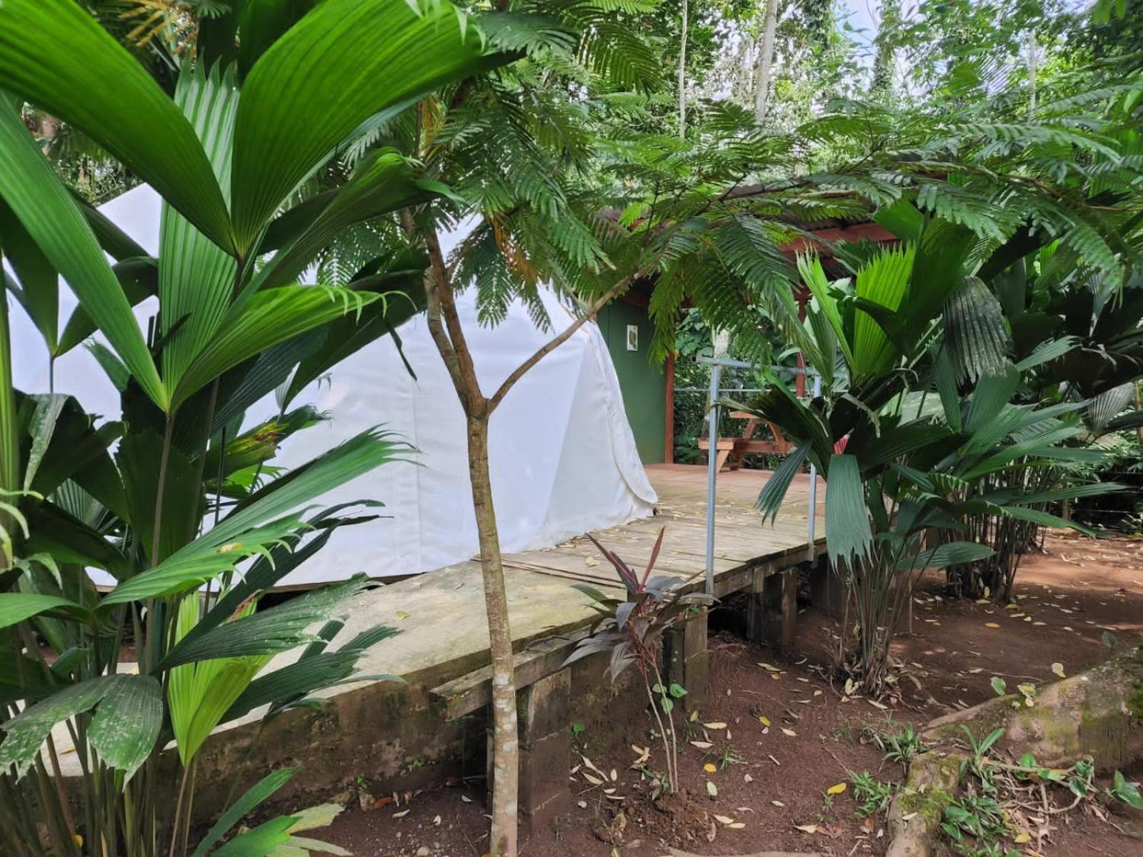 Apartamento Glamping Naioth Guápiles Exterior foto