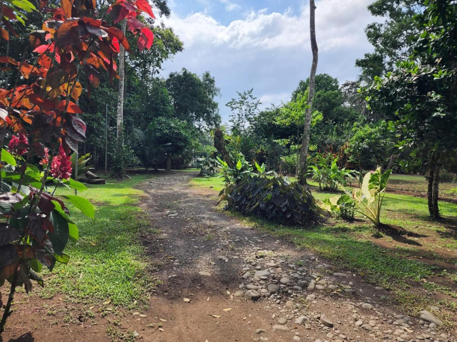 Apartamento Glamping Naioth Guápiles Exterior foto