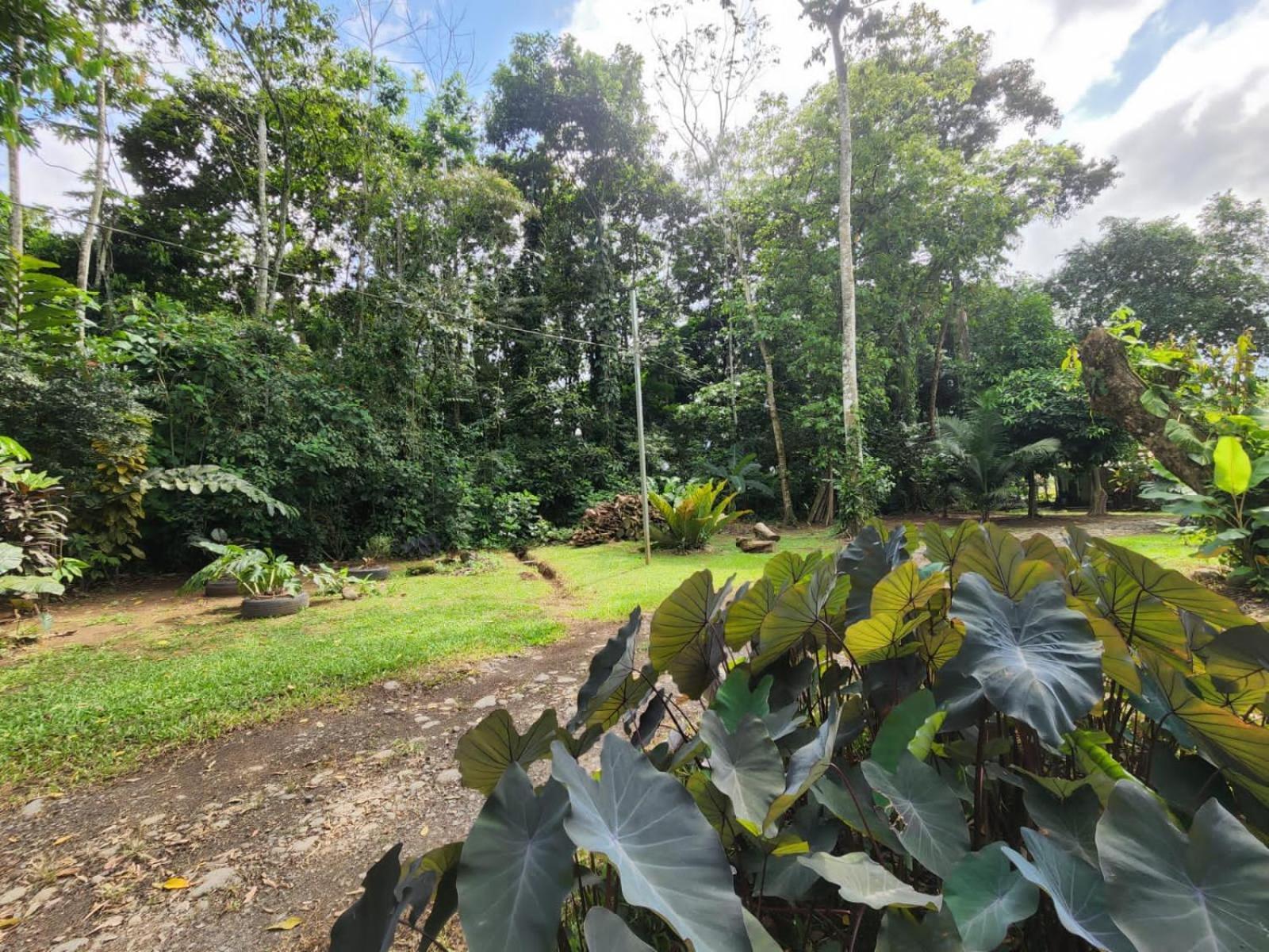 Apartamento Glamping Naioth Guápiles Exterior foto