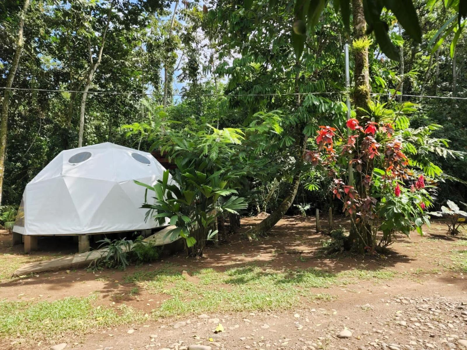 Apartamento Glamping Naioth Guápiles Exterior foto