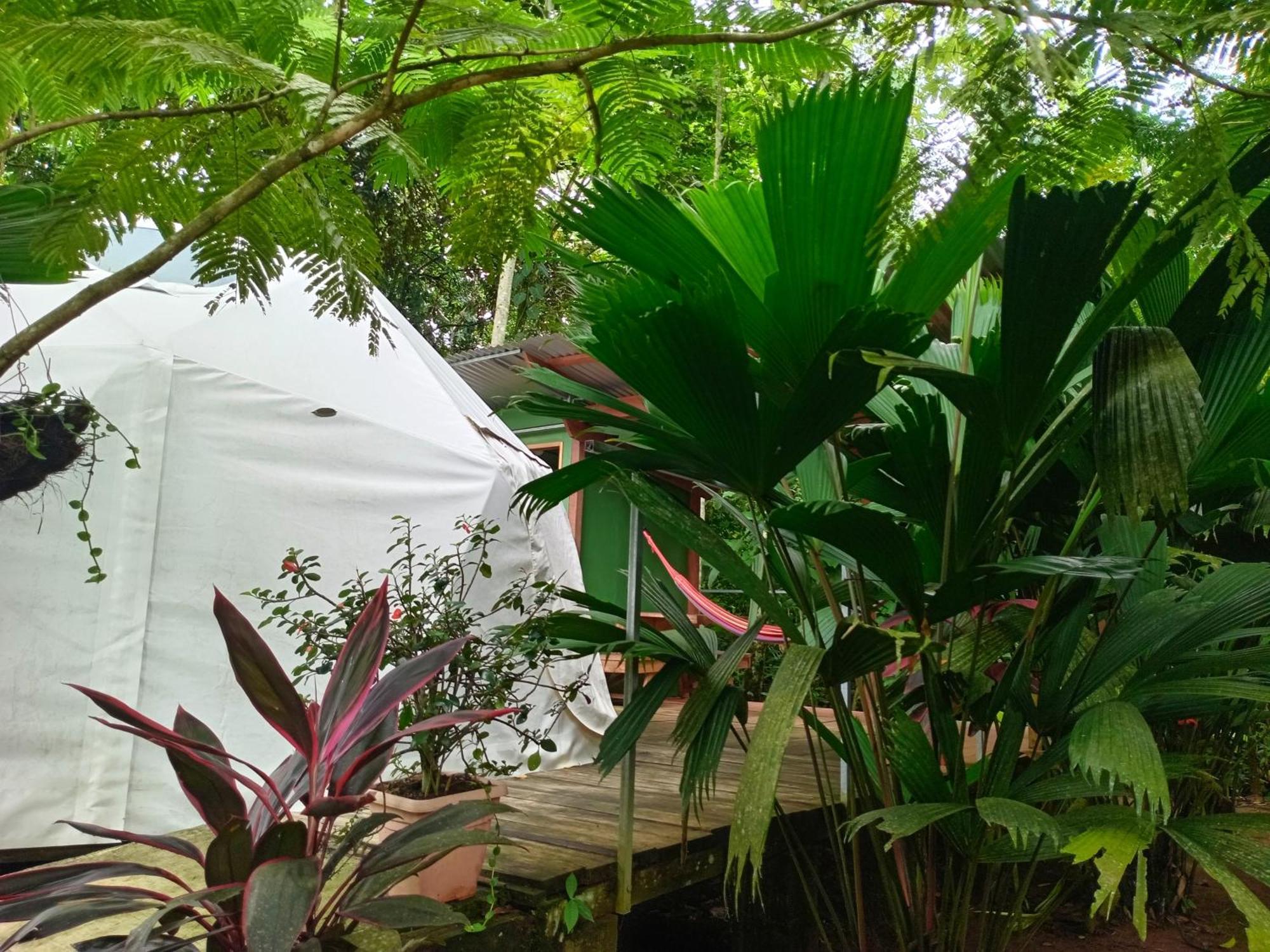 Apartamento Glamping Naioth Guápiles Exterior foto