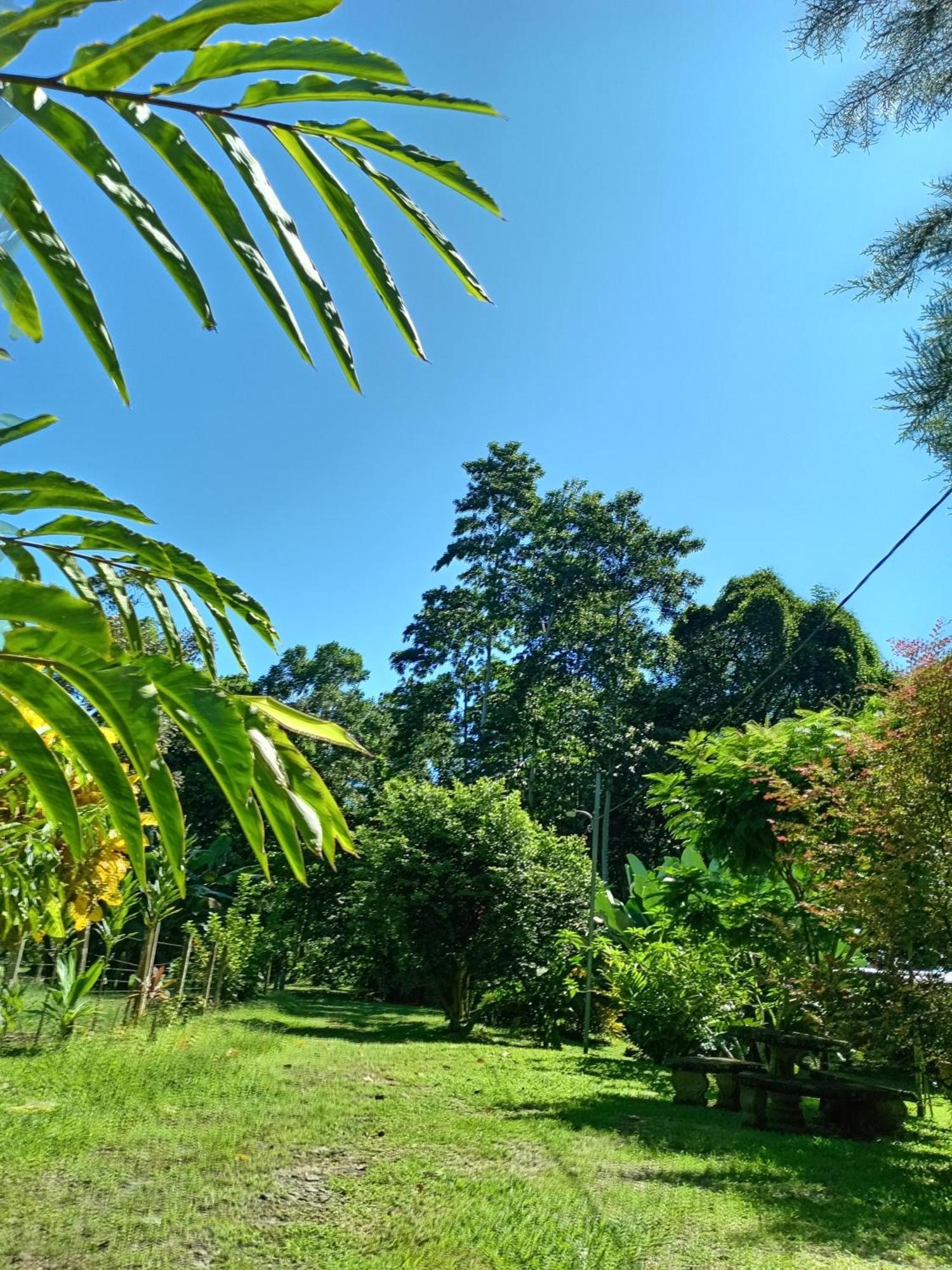 Apartamento Glamping Naioth Guápiles Habitación foto