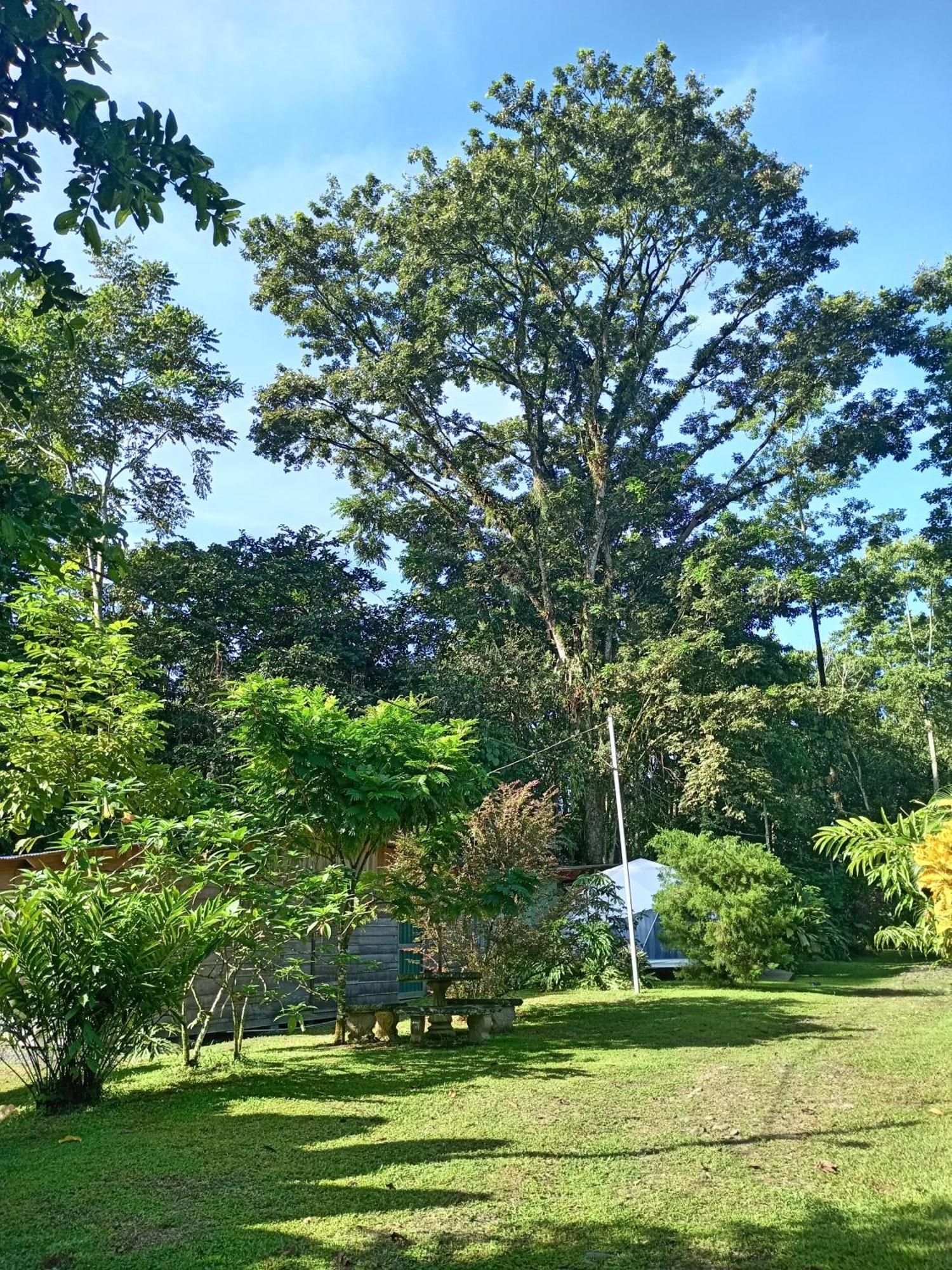 Apartamento Glamping Naioth Guápiles Exterior foto