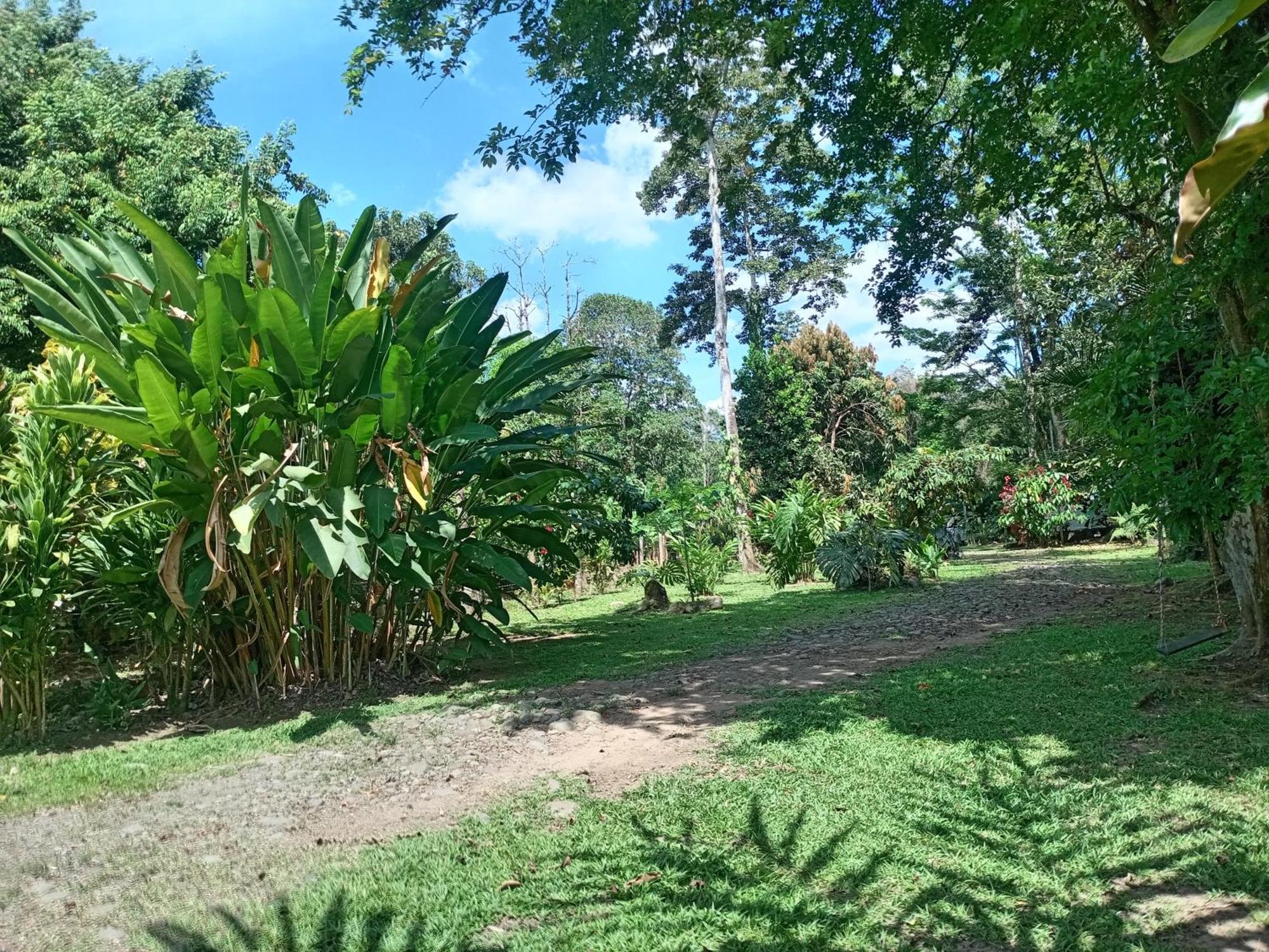 Apartamento Glamping Naioth Guápiles Exterior foto