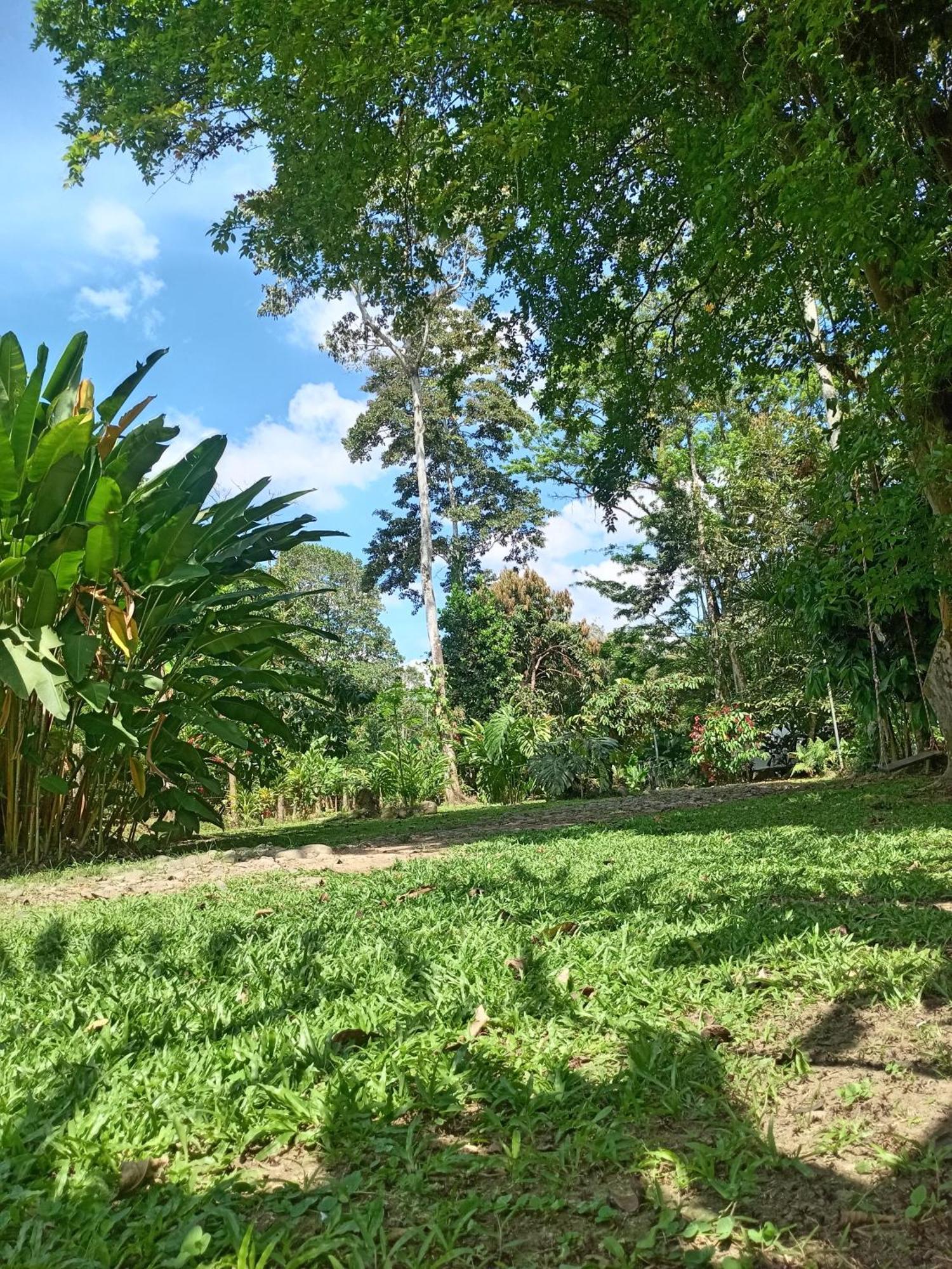 Apartamento Glamping Naioth Guápiles Habitación foto