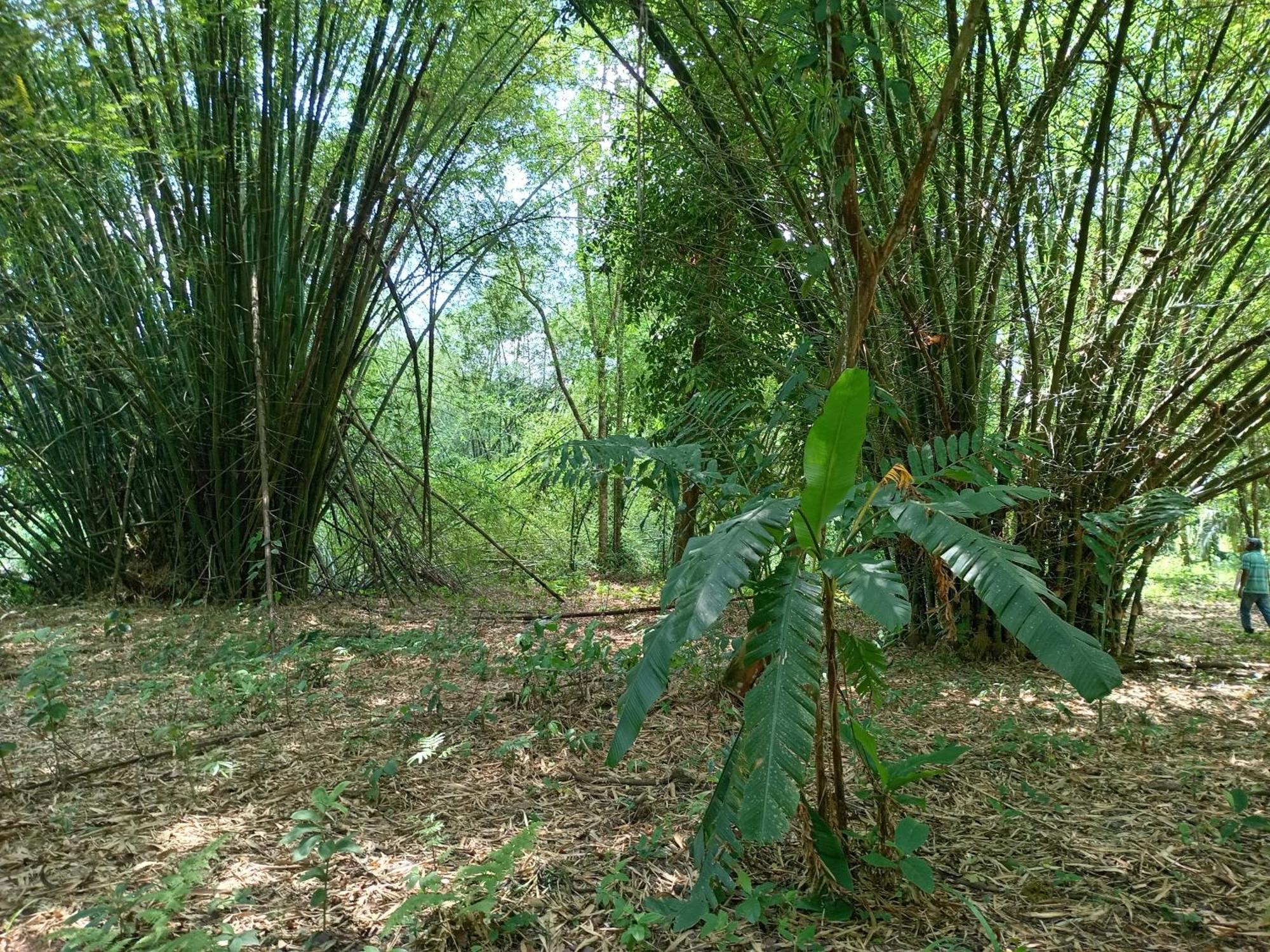 Apartamento Glamping Naioth Guápiles Habitación foto