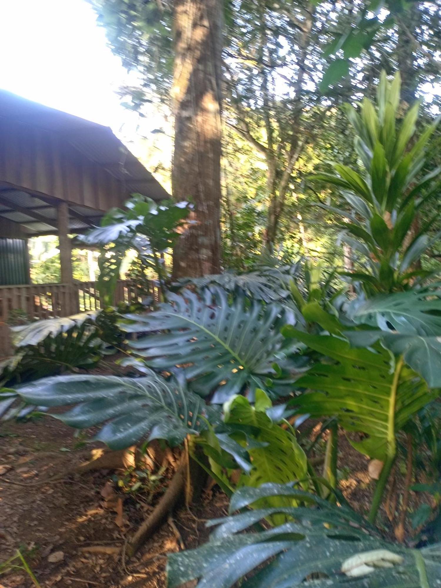 Apartamento Glamping Naioth Guápiles Exterior foto