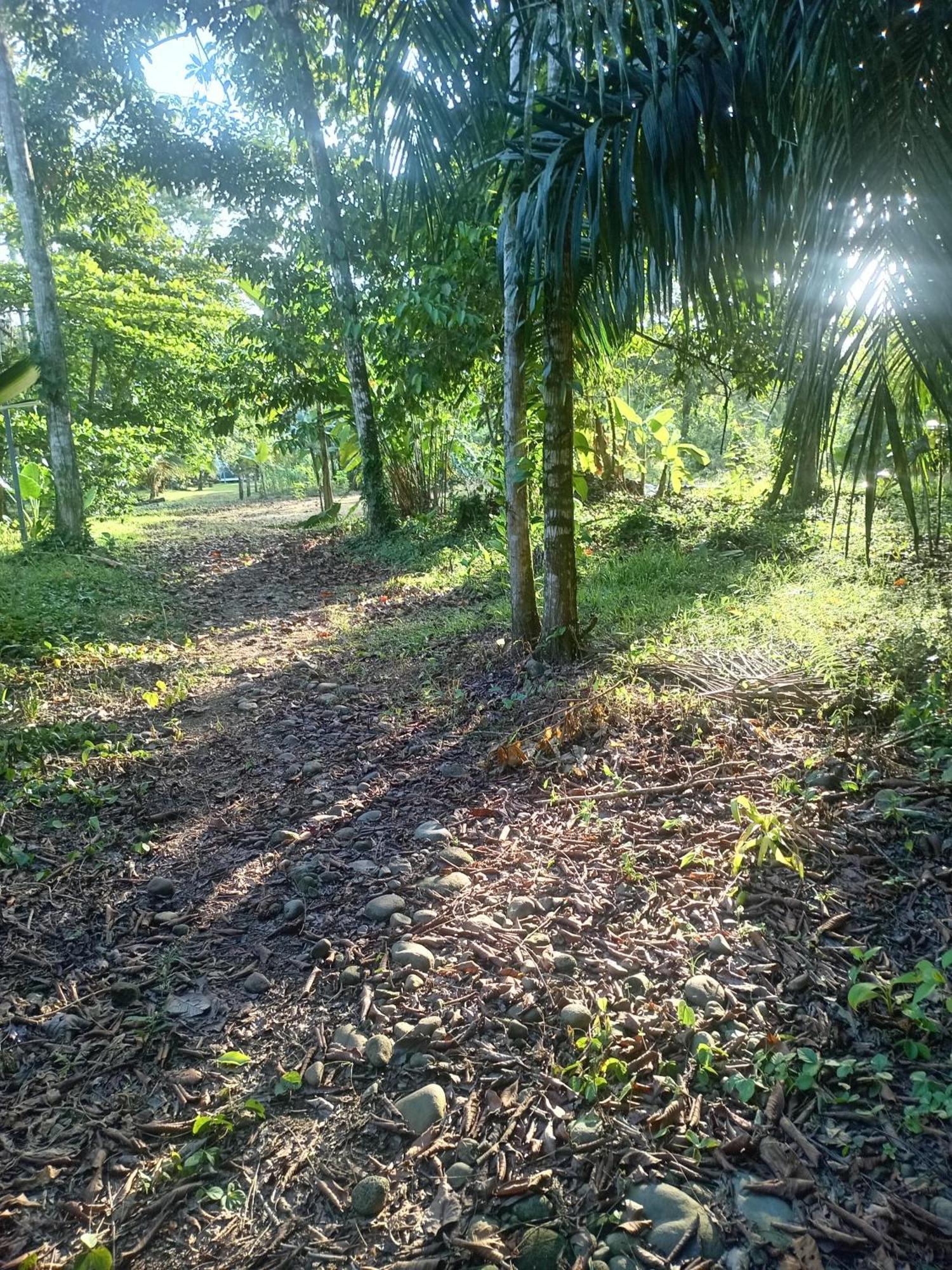 Apartamento Glamping Naioth Guápiles Exterior foto
